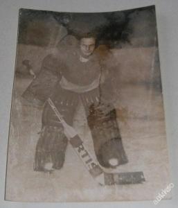 Lední hokej - Gólman Josef Hronek