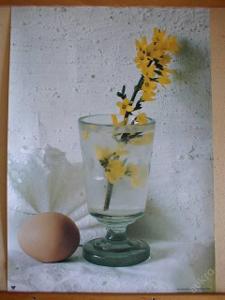 velikonoce - vejce a zl.déšť; plakát 46 cm x 66 cm