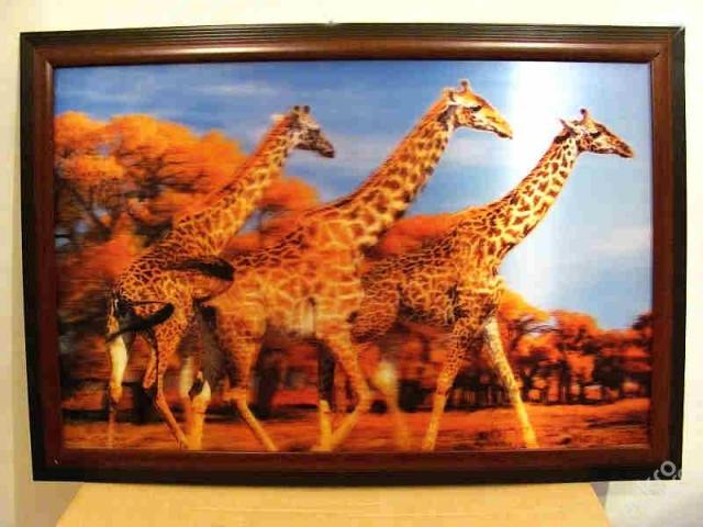 KRÁSNÝ 3D OBRAZ 64x44 cm V RÁMU - ŽIRAFY AFRIKA - Starožitnosti a umění