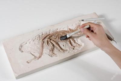 Malý archeolog Dinosaurus - Big Dino
