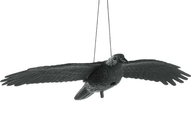 Létající maketa havran plašéní špačků holubů vrána 0643 6556