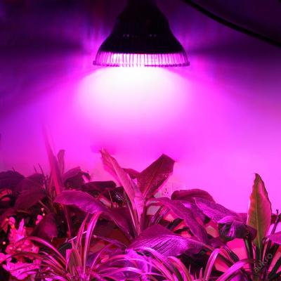 52W led světlo pro pěstování rostlin