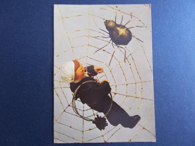 Koláž kominík pavouk Křižák pavučina štěstí Nový Rok foto Kýhos