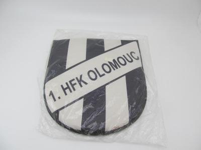 1. HFK Olomouc fotbal