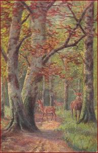 Lovecký motiv * jelen, lesní krajina, zvířata, myslivost * M1541