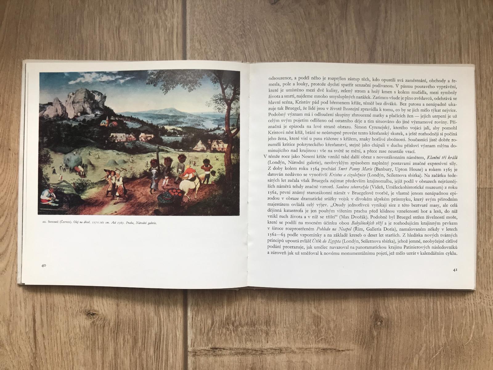 Kniha Pieter Bruegel - Knihy