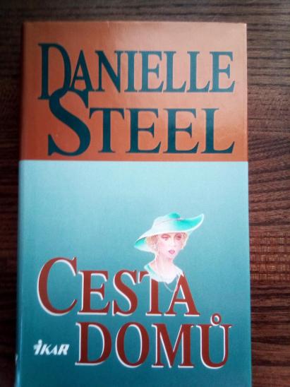 Cesta domů Danielle Steel  - Knihy