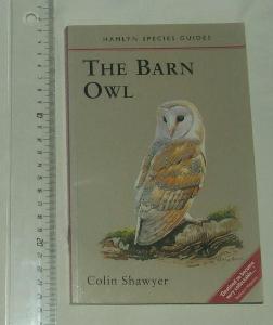 The Barn Owl - sova - sovy - anglicky - pták ptáci