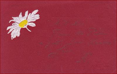 Kopretiny * květiny, květy, tlačená, gratulační * M2574