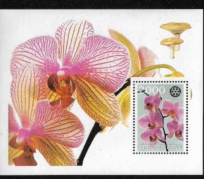 Turkmenistán - orchidej, houby