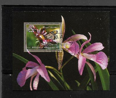 Somálsko - motýl, orchidej 1.
