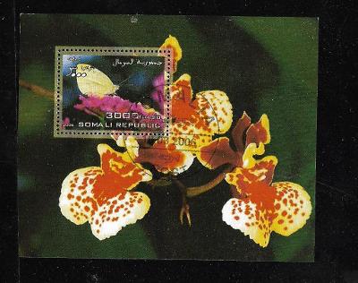 Somálsko - motýl, orchidej 2.