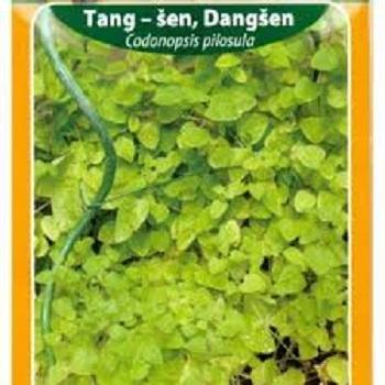 Tang-Šen, Dangšen (semena)