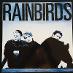 Rainbirds – Rainbirds EX/EX+ - LP / Vinylové dosky