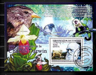GUINEA - Darwin - pavián anubi, malpa běločelá, pěnkavky, orchidej