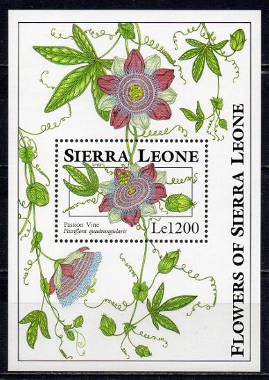 Sierra Leone-Flóra 1993**  Michel Bl.229 / 8,50 € - Známky
