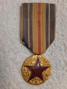 Medaile za zranění, Francie, 1914-1918, model 1. legie