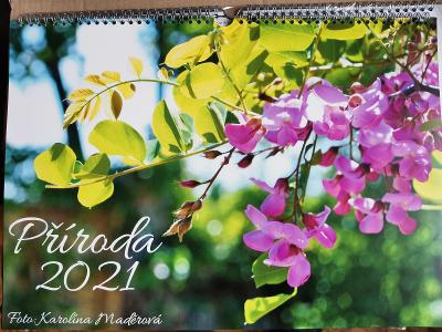 Kalendář 2021 - Příroda