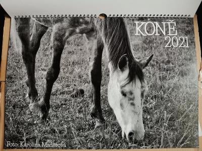 Kalendář 2021 - Koně v černobílé