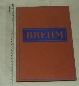 Brehm - brehmův život zvířat - pták ptáci - dravci čápovití