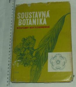 Soustavná botanika - rostliny krytosemenné - rostlina