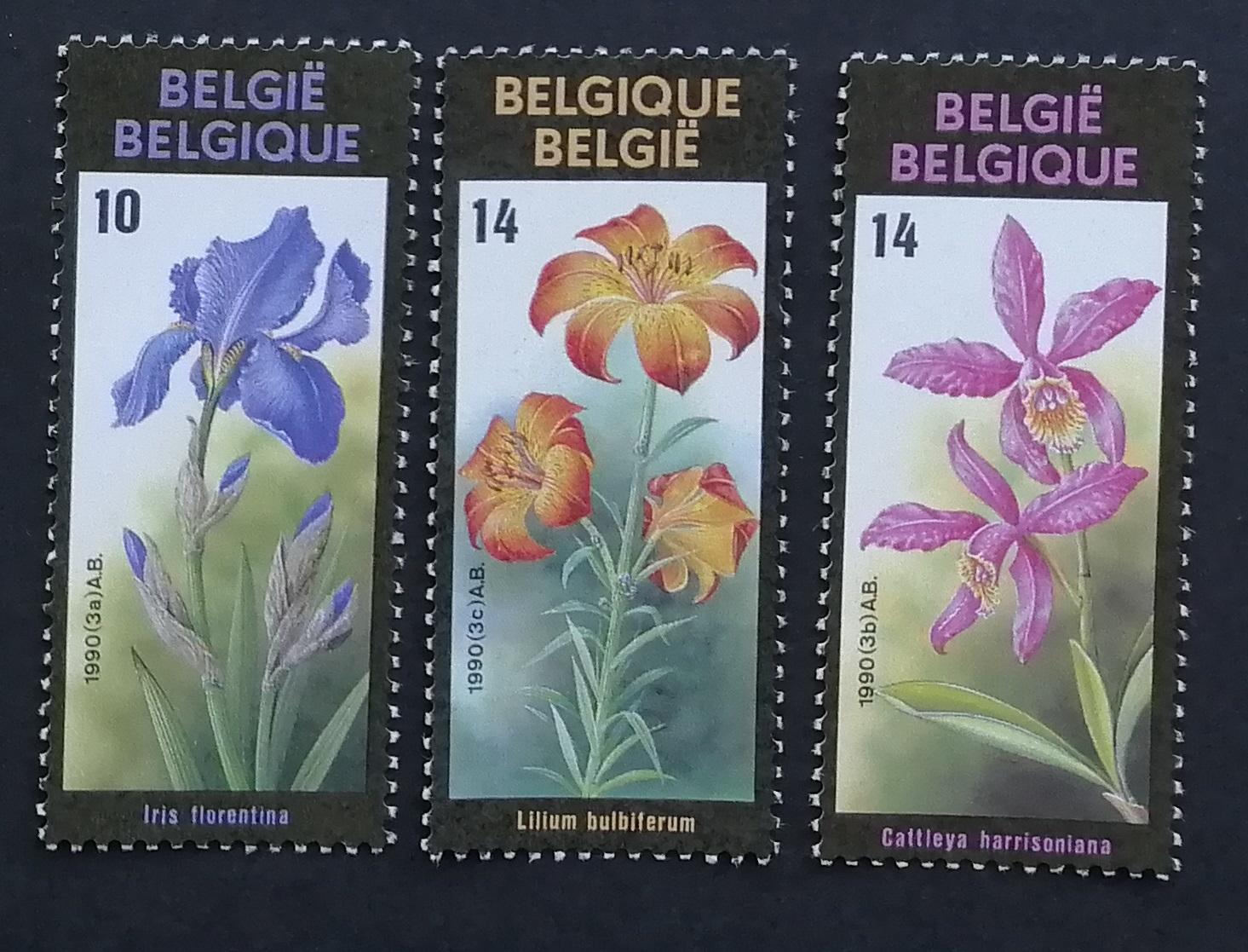 Belgicko 1990 Mi.2409-1 3€ Výstava kvetov, flóra krajiny, kosatce, orchidea - Známky
