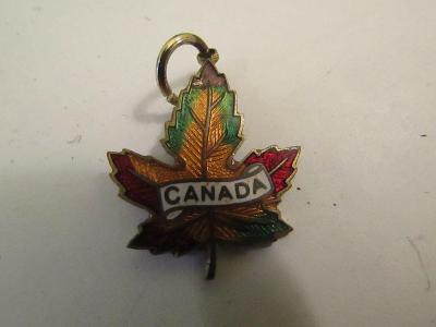 Odznak Canada 