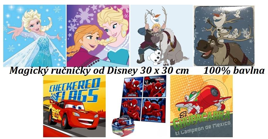 Disney Magický uteráček Ľadové Kráľovstvo, Spiderman, Cars 30x30 cm - Deti