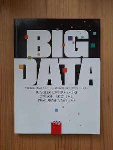 Big data Viktor Mayer-Schönberger, Kenneth Cukier