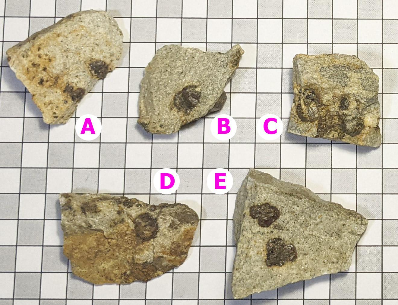 Granát v matečnej hornine, India, A - Minerály a skameneliny