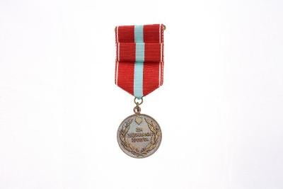 Za záchranu života Hasičská medaile