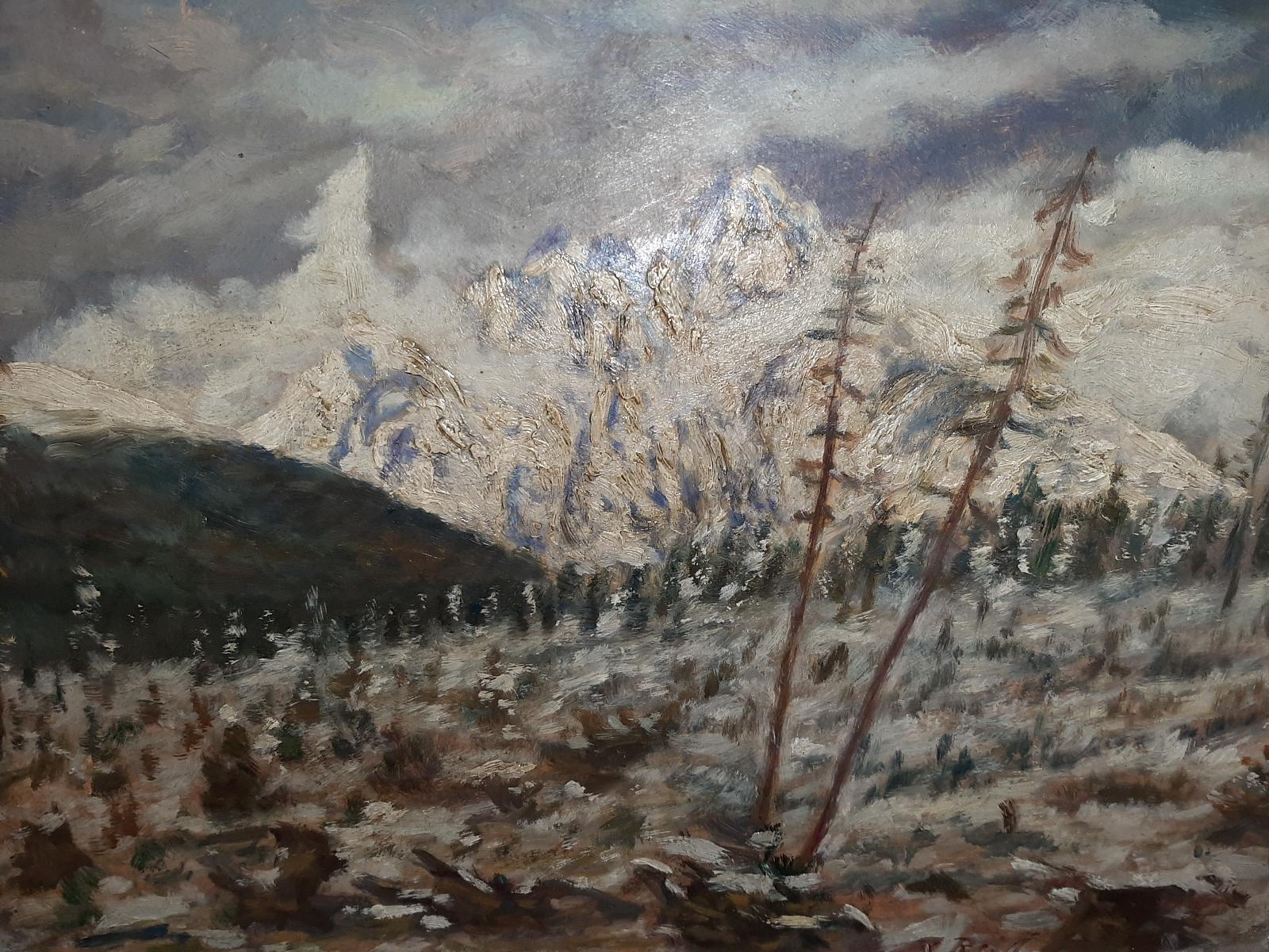 obraz olejomalba hory - Umění