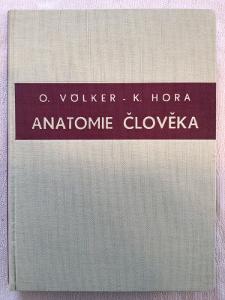 Völker, Hora: Anatomie člověka II. , velmi zachovalá