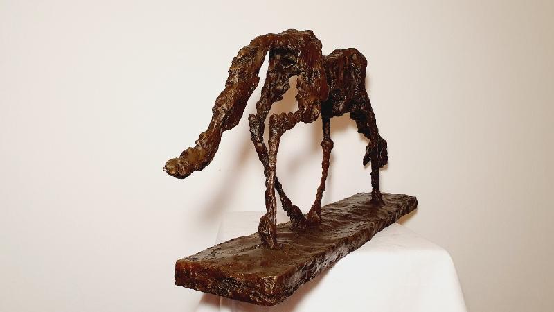 XXL Alberto Giacometti - bronzová socha - Pes - délka 58 cm.