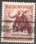 Jižní Afrika - č.242 - Lokální motivy - Safari