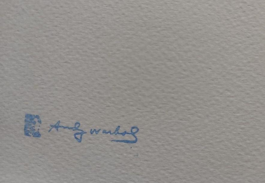 Andy Warhol - MICKEY MOUSE - Certifikát, Signováno, číslováno - Výtvarné umění