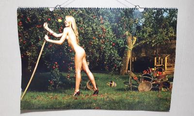 Pro sběratele - kalendář nástěnný 2011 Diana, dívky, nahota, erotika