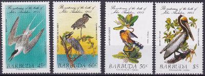 Ptáci - Barbuda