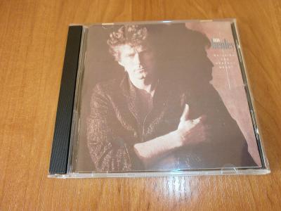 CD Don Henley : Building the perfect beast