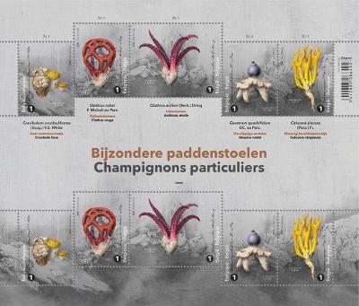 Belgie 2020 Známky aršík ** houby