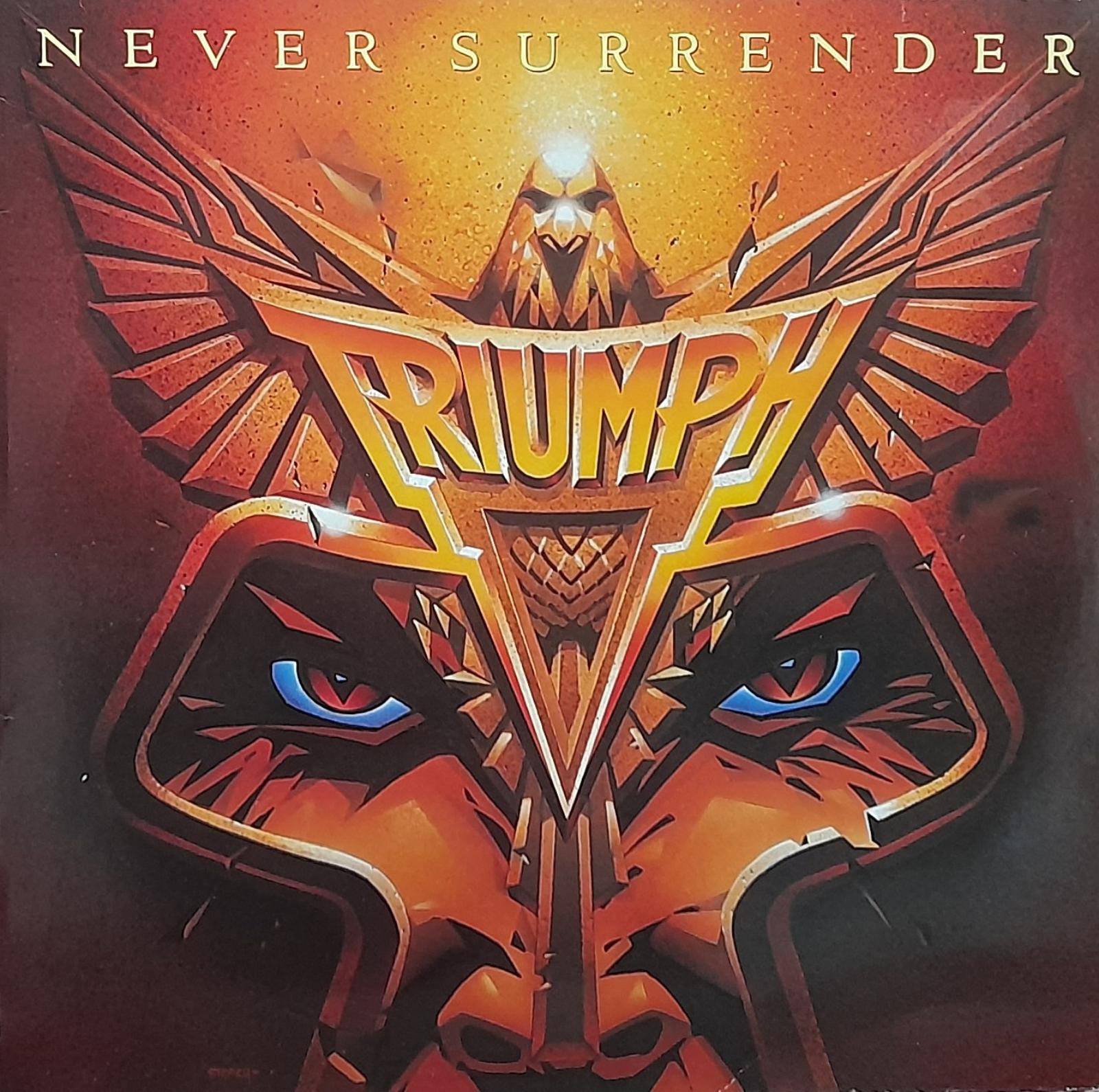 triumph-never-surrender-99630274.jpeg