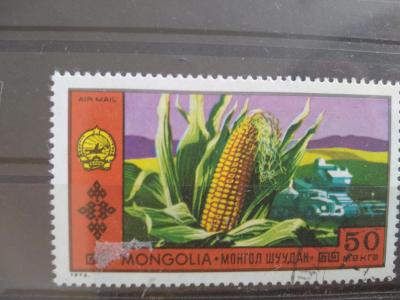 Mongolsko, kukuřice