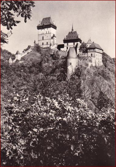 Karlštejn * stromy, pohled na hrad * Beroun * V826 - Pohlednice místopis