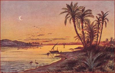 Egyptský motiv * Nil, řeka, palmy, měsíc, krajina, umělecká * M5780