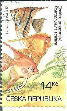 Akvarijní rybky 2003 , raž. zn. k.č. 366.