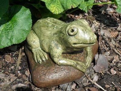 Žába střední - mrazuvzdorná dekorace k jezírku, Frosch auf einem Stein
