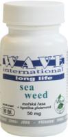 Sea weed (mořská řasa)
