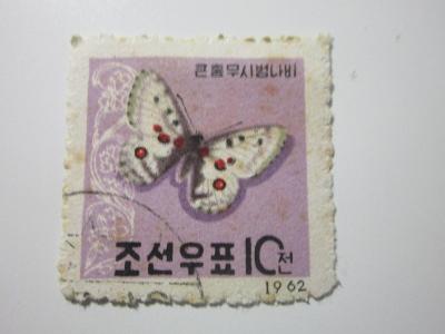 Korea motýl