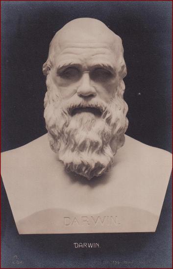 Socha (umělecká plastika) * Darwin, busta, osobnost, historie * X082 - Sběratelství