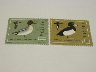 Známky Polsko 1985, Vodní ptáci 